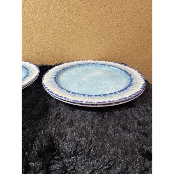 AELS Blue & White Crackle Glaze Melamine Plates 11" Picnic Set Of 4 - Picture 2 of 7